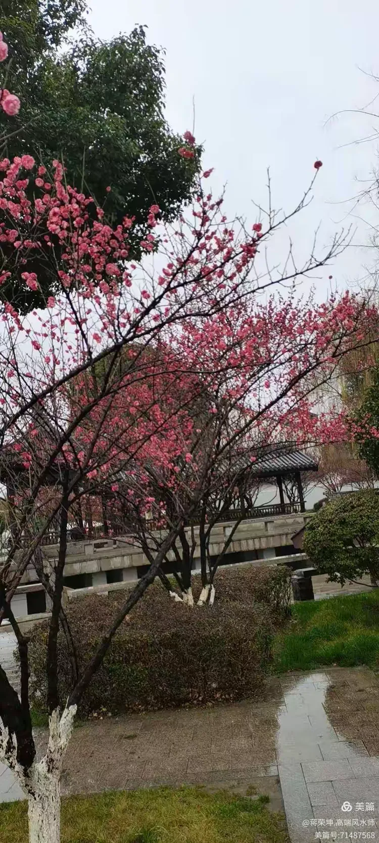 宿迁新建小区物管规模赢评612解昆师