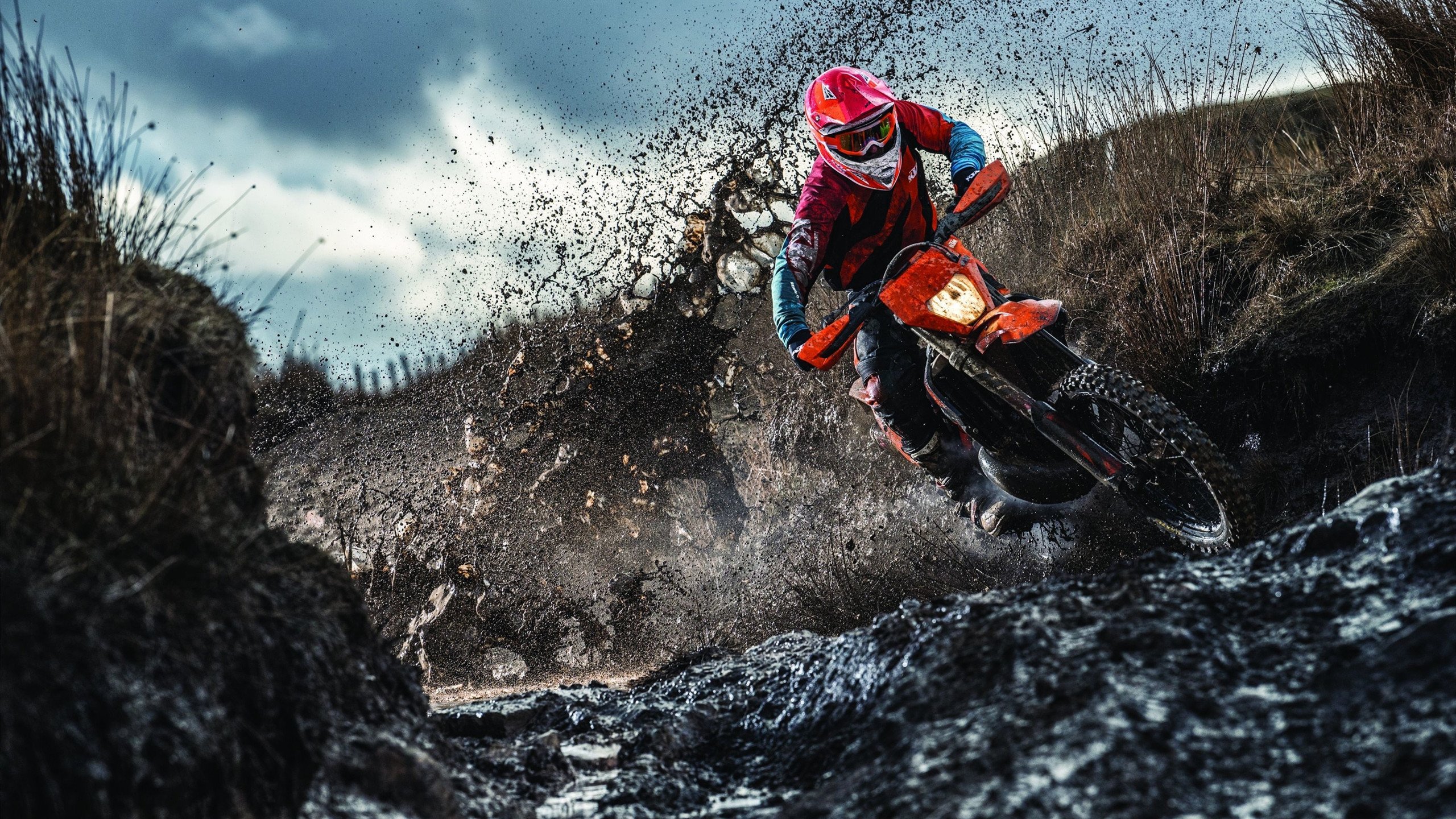 魔术粉碎公牛,浓眉成为关键先生,一场定义赛季的转折之战